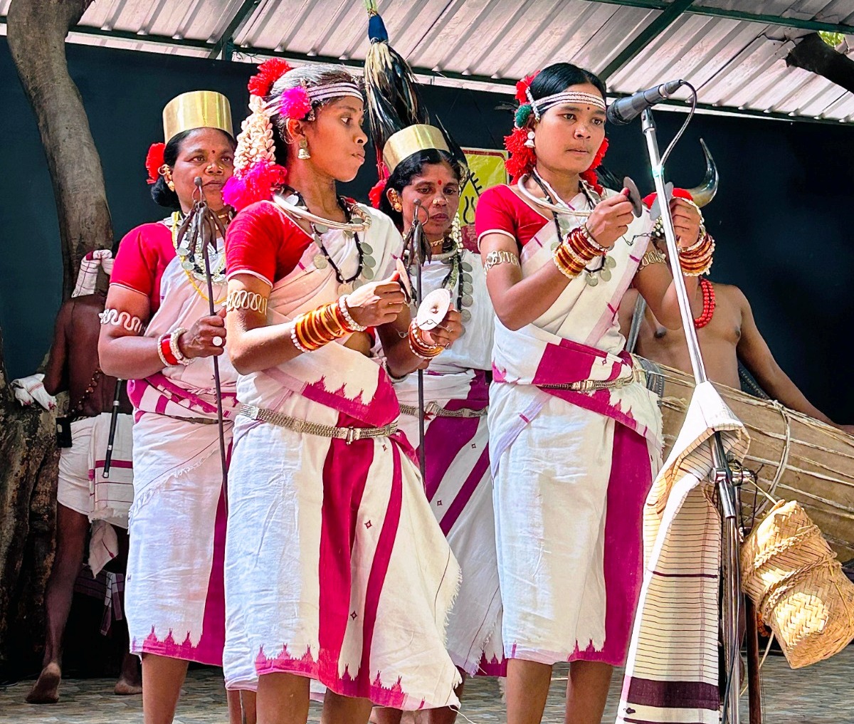 देहरादून के दून गर्ल्स स्कूल में स्पिक मैके ने प्रस्तुत किया बस्तर बैंड का मनमोहक प्रदर्शन