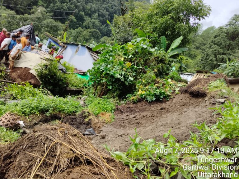 थराली के बेनौली में अतिवृष्टि से गौशाला की दीवार टूटने से हुई तीन मवेशियों की मौत