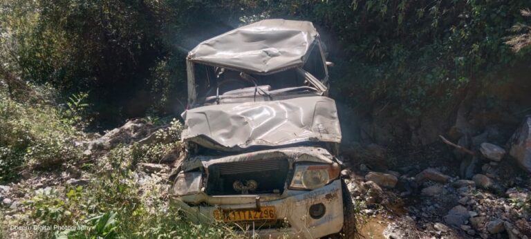 मींग गधेरा-हंसकोटी मार्ग पर दर्दनाक हादसा, बुलेरो खाई में गिरी, एक की मौत दो घायल