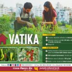 रूफटॉप आर्गेनिक बागवानी के प्रोत्साहन के लिए पंजाब नैशनल बैंक ने लॉंच की डिजिटल ऋण “पीएनबी गृह वाटिका”